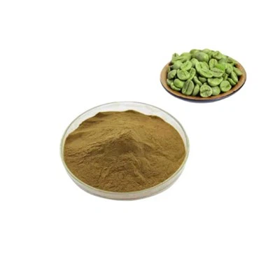 مسحوق مستخلص حبوب القهوة الخضراء