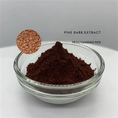 صنوبر بيناستر آيت